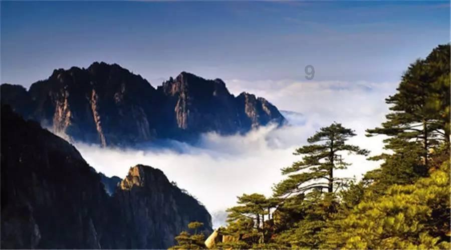 探索快过年了做什么生意赚钱-问答专家,解决你的疑问