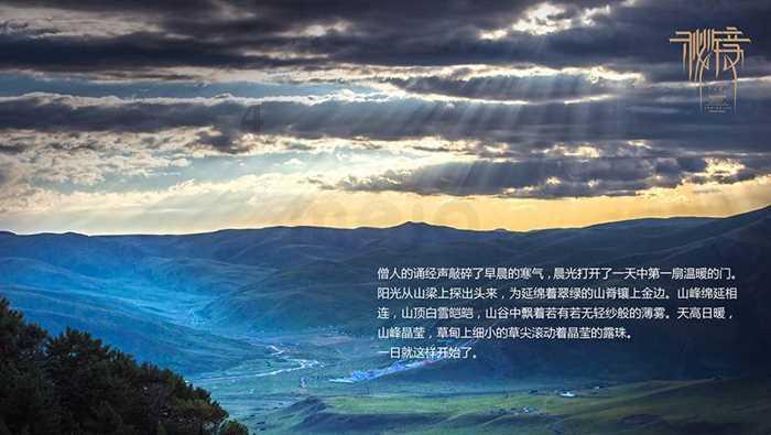 拯救枯树