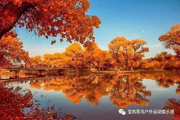 中国探月航天艺术展全国巡展首站登陆上海