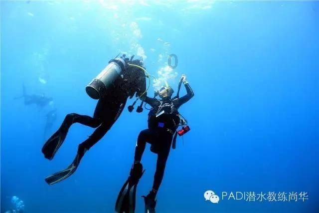 拯救枯树