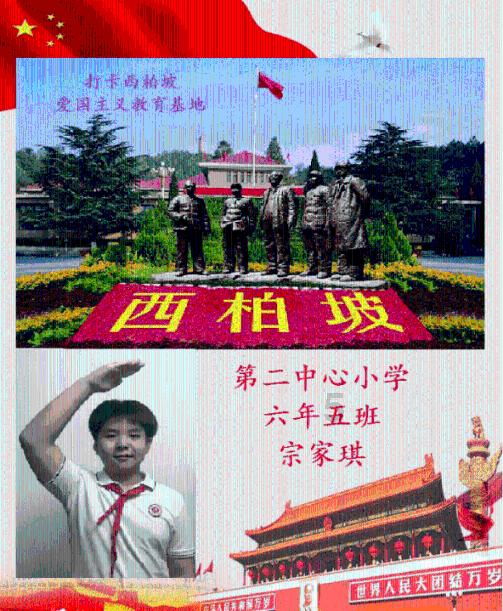 无休止的树