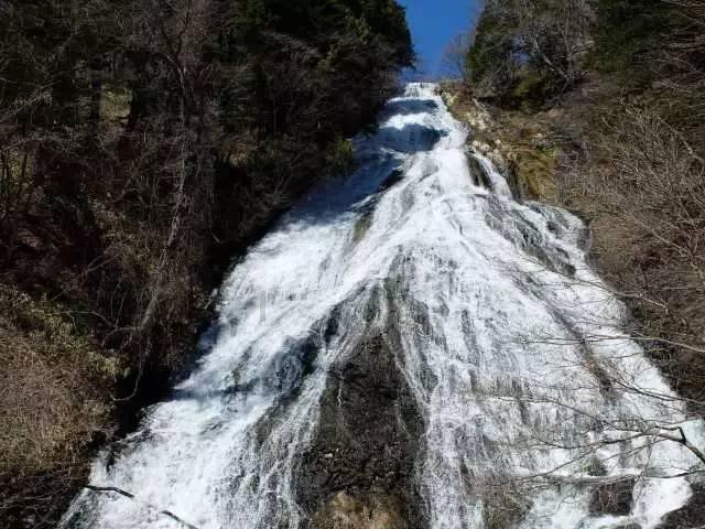坦克出行