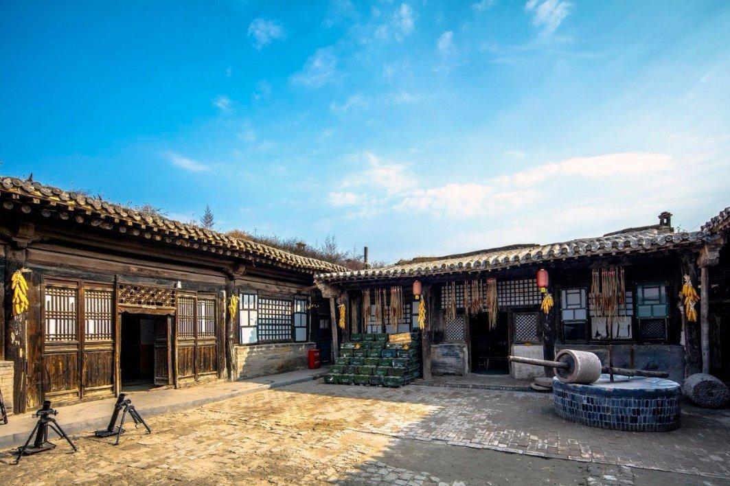 燃烧吧大脑免广告最新版